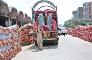 Daily wage labourers unload fresh onions from delivery truck at the Sabzi Mandi in the city