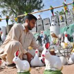 A vendor display beautiful plant pots and decoration pieces to attract customers at Chak Shahzad area in the Federal Capital