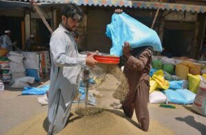 A local vendor is cleaning millet in a traditional way before selling here in the Faqirabad area.