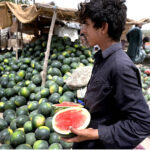 A vendor displaying watermelon to attract the customer at Hussenabad