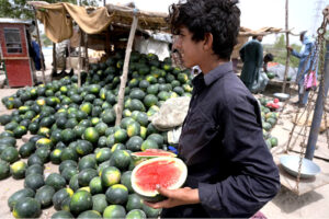 A vendor displaying watermelon to attract the customer at Hussenabad