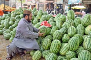 A vendor displays watermelons at a roadside set up to attract customers seeking relief from dehydration in a heat wave in the city.