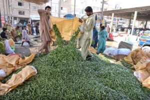 Labourers off-loading vegetables for display to attract the customer at Subzi Mandi.
