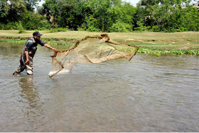A fisherman throws his net in a local stream to catch fish near Phandu, in the provincial capital