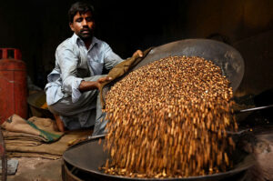 A vendor is busy roasting grams at his roadside setup in the Provincial Capital