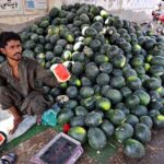 A vendor displays fresh watermelons for sale, aiming to attract customers on Allahabad Road as the summer heat intensifies