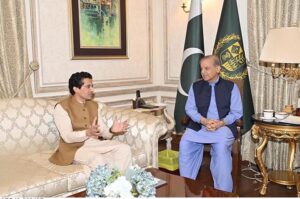 Federal Minister for Petroleum Ali Pervaiz Malik calls on Prime Minister Muhammad Shehbaz Sharif.