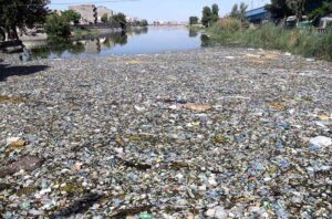 A view of the accumulation of plastic bags and other waste near the Lahori Regulator in the Rice Canal, which is causing environmental pollution.