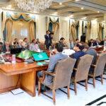 A delegation of Pakistan People’s Party calls on Prime Minister Muhammad Shehbaz Sharif