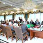 A delegation of Pakistan People’s Party calls on Prime Minister Muhammad Shehbaz Sharif