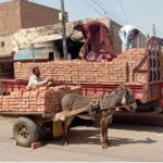 Bricks are being loaded on donkey cart to transport them to the site where work on development projects is underway
