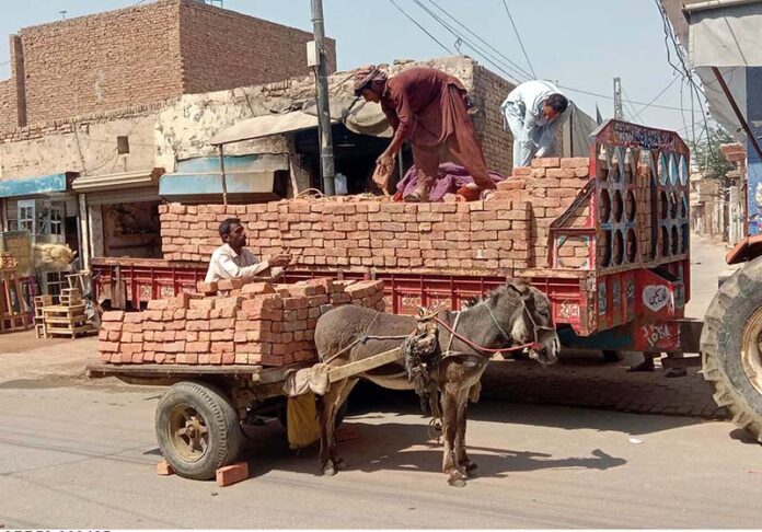 Bricks are being loaded on donkey cart to transport them to the site where work on development projects is underway