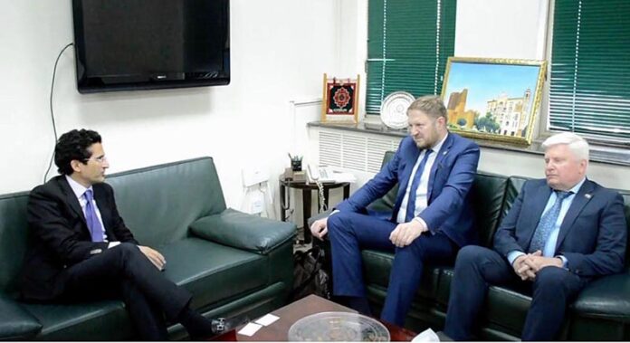 Federal Minister for Petroleum, Ali Pervaiz Malik held meeting with Mr. David Muller, Director General at the Czech Republic’s Ministry of Industry and Trade