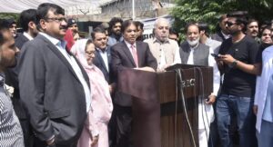 Govt has done record development work in health sector in Punjab: Abbasi