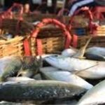 Seafood exports grow 32.05% in two months
