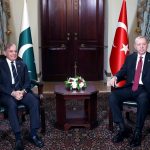 PM, Turkiye President begin talks