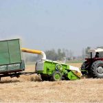 Farmer is making wheat husks fodder for animals with a modern machine