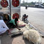 Street vendors making room cooler net at roadside