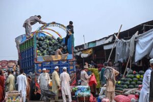Vendors displaying melons for bidding at the fruit market in the Federal Capital