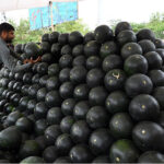 A vendor arranging and displaying watermelons to attract the customers in the Federal Capital