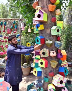 A vendor displays clay made pots and crafted artificial bird nests for garden décor to attract customers at H-9 Nursery