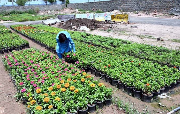 A worker busy in routine work at a local nursery during scorching hot weather in Federal Capital