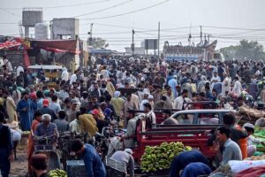 Vendors displaying melons for bidding at the fruit market in the Federal Capital