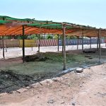 A market for sacrificial animals has been set up near the Zia Masjid on Expressway in the federal capital ahead of Eid-ul-Azha