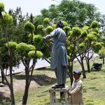 Gardeners busy cutting a tree at roadside green belt
