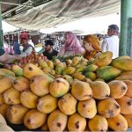 People purchasing fruits from a stall at weekly Sunday Bazaar, Peshawar Morr in Federal Capital.