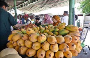 People purchasing fruits from a stall at weekly Sunday Bazaar, Peshawar Morr in Federal Capital.