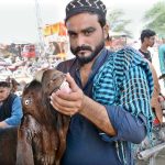 A vendor shows a customer the teeth of a sacrificial animal at the local market, as the Muslim community prepares for Eid al-Adha