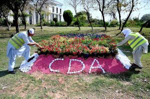 CDA gardeners are busy arranging flower pots to enhance the beauty of the Federal Capital in front of the Parliament House