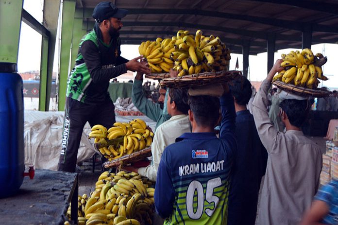 A vendor selling ripe bananas from his cart on roadside in the provincial capital