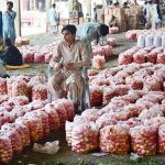 A wholesaler waits for customers while displaying fresh tomatoes to attract buyers at the fruit vegetable market in the city