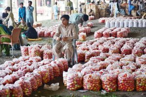 A wholesaler waits for customers while displaying fresh tomatoes to attract buyers at the fruit vegetable market in the city