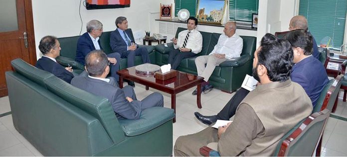 Delegation of CEOs of Pakistan's leading refineries called on Federal Minister for Petroleum Ali Pervaiz Malik