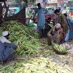 A street wholesaler weighs corn for a customer near Lahori Gate