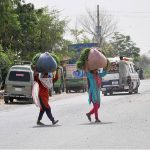 Villager women crossing the road while carrying the huge bundles of fodder for animal on their head after cutting from field