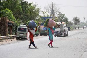 Villager women crossing the road while carrying the huge bundles of fodder for animal on their head after cutting from field