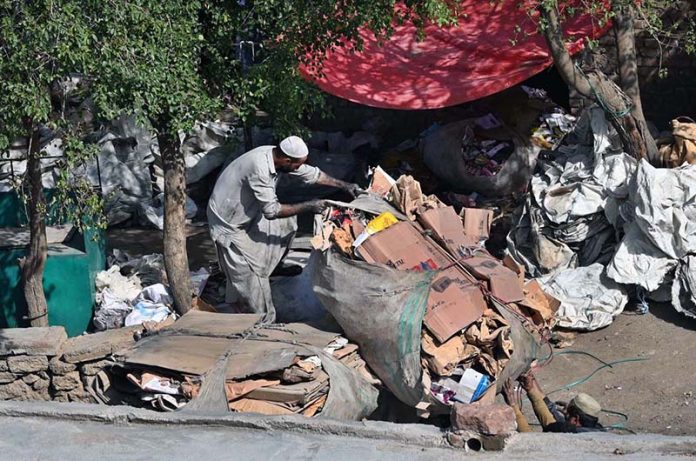 A laborer is busy collecting cardboard from roadside garbage