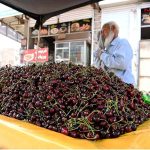 A vendor sells seasonal fruit cherries on his cart at Gole chowk
