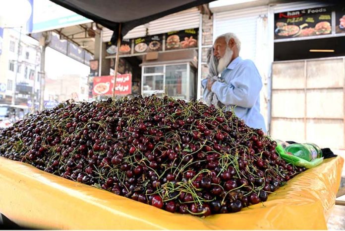 A vendor sells seasonal fruit cherries on his cart at Gole chowk