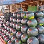 A vendor sells fresh watermelon, a source of hydration in the scorching heat at his roadside stall in the federal capital