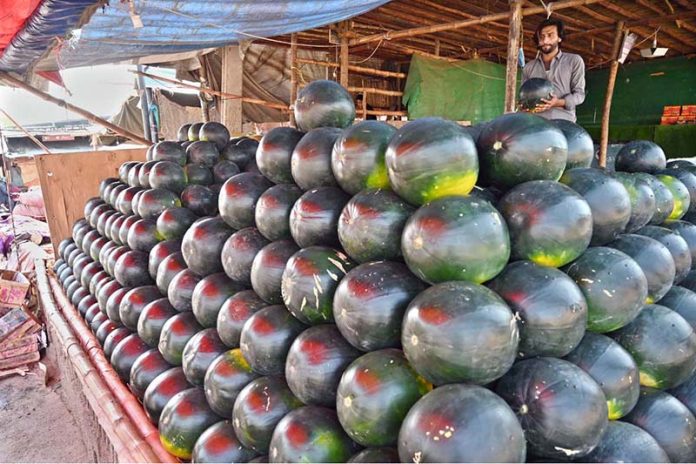 A vendor sells fresh watermelon, a source of hydration in the scorching heat at his roadside stall in the federal capital