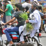 A person carries a goat while sitting on rear seat of motorcycle heading towards his destination