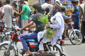 A person carries a goat while sitting on rear seat of motorcycle heading towards his destination