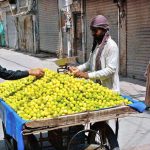 A man is selling lemons on the road side