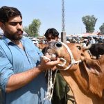 Vendor showing teeth’s of sacrificial animals to a customer at Ring road cattle market in connection with upcoming Eid Ul Azha