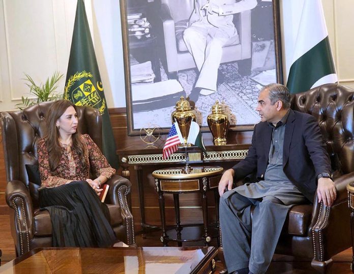 Federal Minister for Interior Mohsin Naqvi in a meeting with US Acting Ambassador Natalie Baker